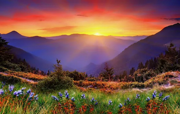 Picture grass, sunset, mountains, dawn
