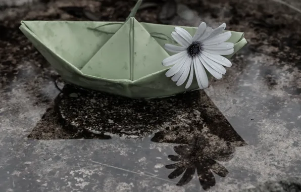 Wallpaper mood, paper boat, chamomile