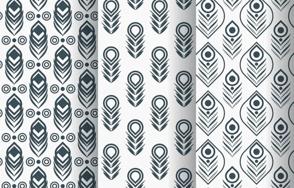 White, texture, pattern, feather, peacock