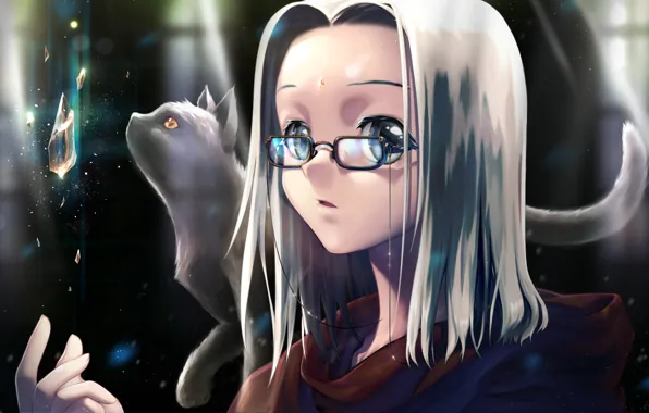 Picture cat, crystal, girl, art, glasses, white hair, rugia.dian