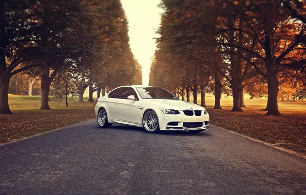 Autumn, white, trees, BMW, BMW, white, E92