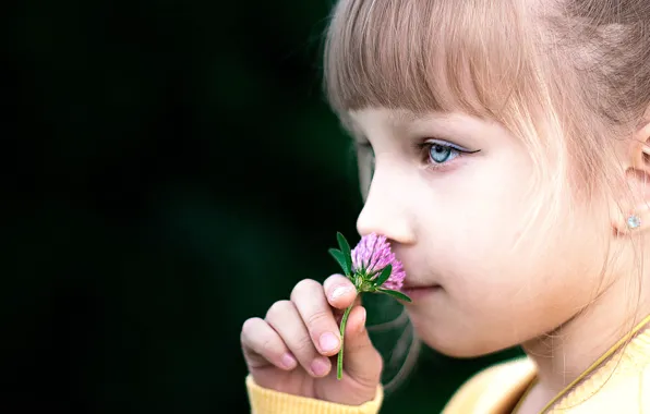 Macro, girl, clover