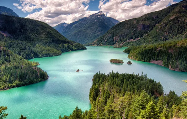 Picture forest, mountains, lake, Washington, Washington, Lake Of The Devil, Diablo Lake, North Cascade mountains