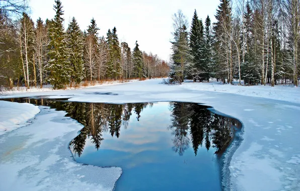 Water, snow, nature, reflection, Gatchina