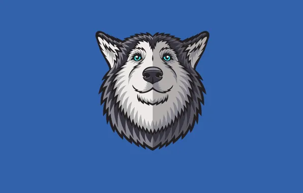 Face, dog, minimalism, husky, husky