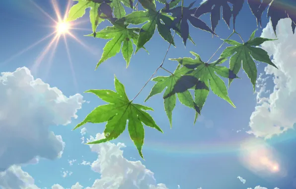 The sun, The sky, Clouds, Anime, Foliage, Makoto Xingkai, Anime, The Garden Of Words