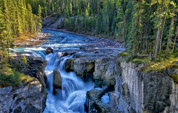 Forest, trees, river, rocks, waterfall, Canada, Canada, Jasper National Park