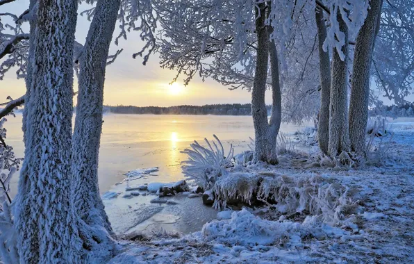Picture winter, river, morning