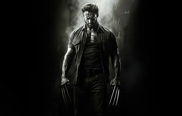 Wolverine, claws, revenge