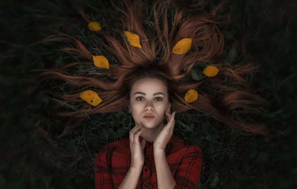 Picture grass, leaves, hair, Girl, lies, Alexander Tishkevich