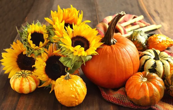 Sunflowers, flowers, table, pumpkin