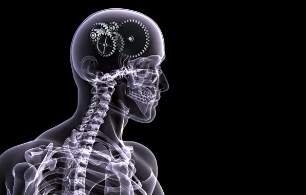 People, skeleton, gear, x-ray, brain, black background