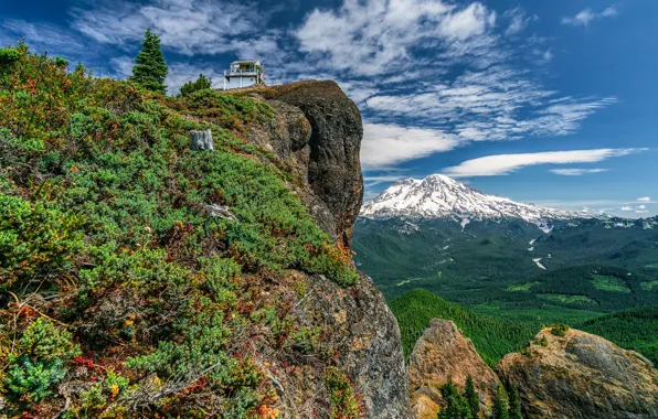 Forest, mountains, rock, Mount Rainier, Gifford Pinchot National Forest, Washington State, Washington, High Rock Fire …