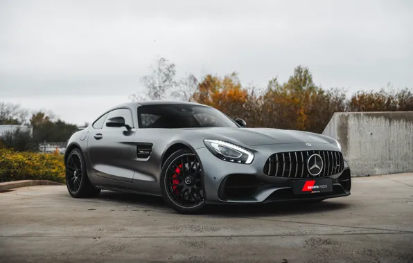 Picture AMG, Mercedes - Benz, GTS, Mercedes AMG - GT S, AMGGTS