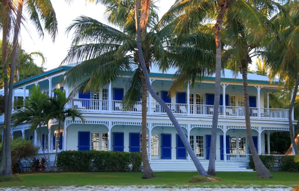 Picture sand, the sun, palm trees, lawn, home, FL, USA, mansion