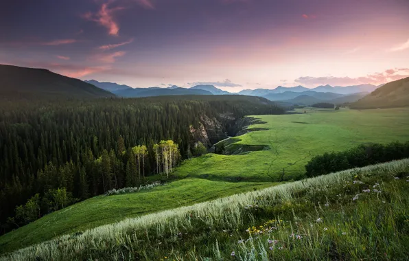 Picture field, forest, hills, view, Canada
