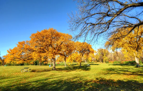 Autumn, the sky, trees, Park, bench
