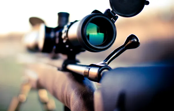Rifle, Macro, Remington 700