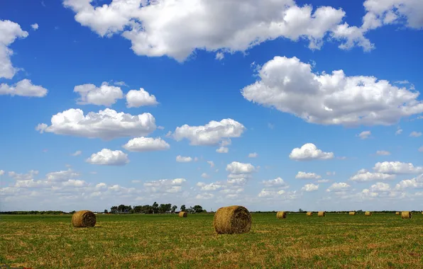 Field, the sky, clouds, horizon, hay