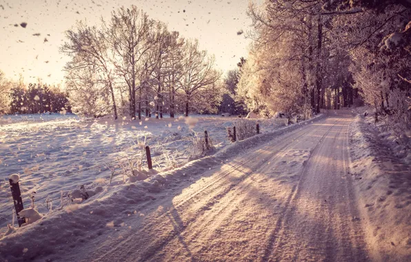 Picture winter, road, forest, snow, trees, landscape, nature