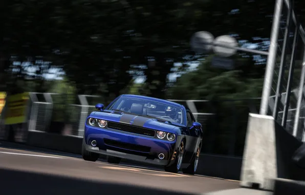 Picture auto, race, speed, dodge challenger