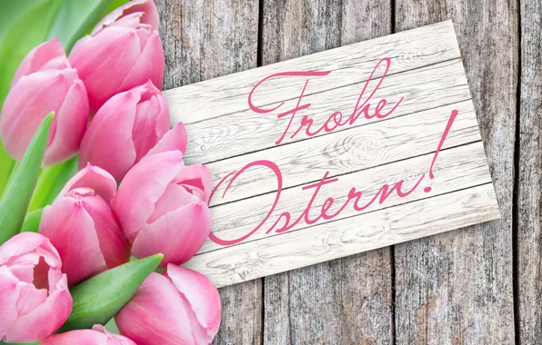 Tulips, pink, flowers, tulips, bouquet, basket