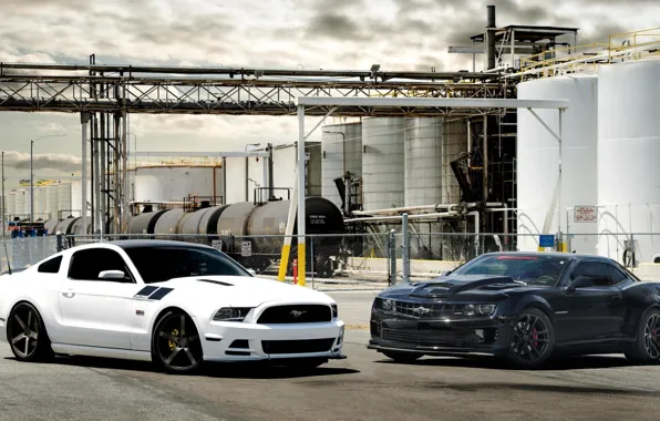 Mustang, Ford, White, Chevrolet, Ford, Muscle, Camaro, Chevrolet