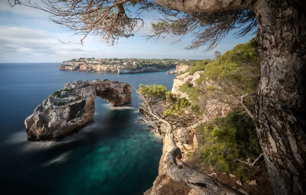Sea, trees, landscape, nature, rocks, Spain, Mallorca