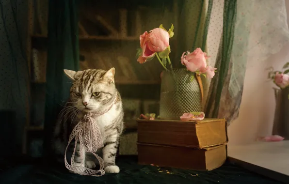Cat, cat, look, flowers, pose, table, books, fabric