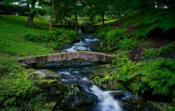 Nature, Park, river