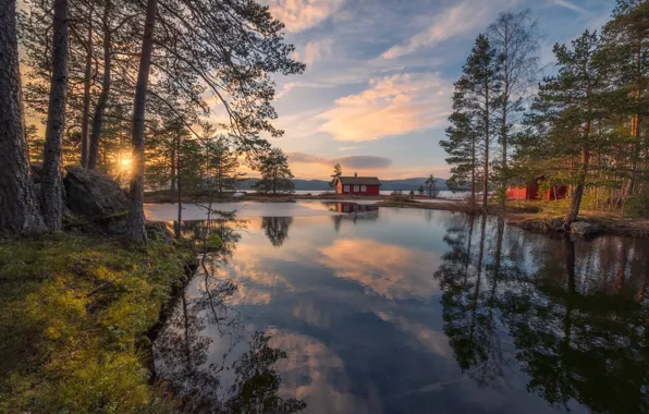 Trees, lake, reflection, spring, Norway, house, Norway, RINGERIKE