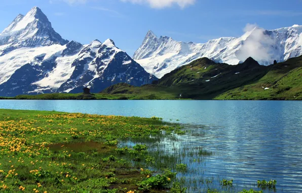 Grass, snow, mountains, river, rocks, Switzerland, Switzerland, flowers.