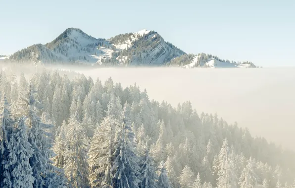 Winter, snow, mountains, morning