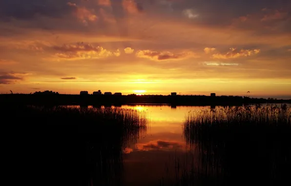 Summer, the sun, sunset, yellow, the city, lake, home, the evening