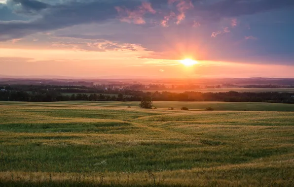 Picture field, nature, dawn