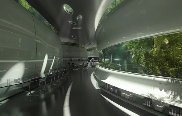 Picture design, woman, plant, promontory, chelidonia