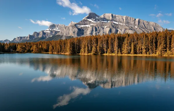 Picture forest, the sky, mountains, reflection, rocks, blue, shore, view