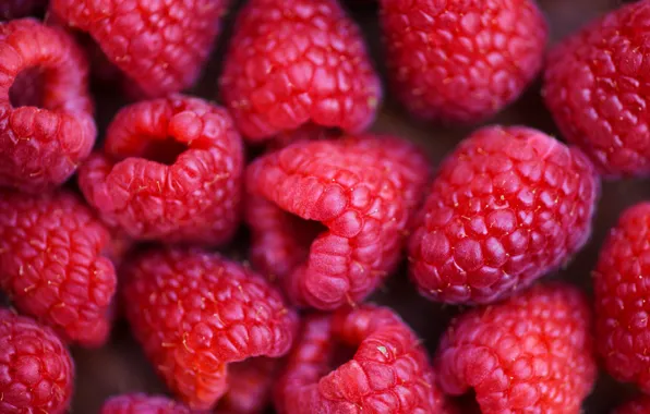 Berries, raspberry, a lot, ripe, Malinka