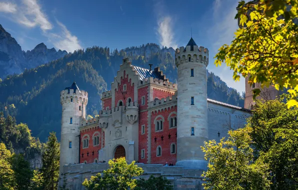 Forest, trees, mountains, castle, Germany, Bayern, Germany, Bavaria