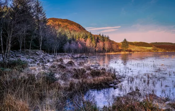 Landscape, nature, beauty, space, late autumn