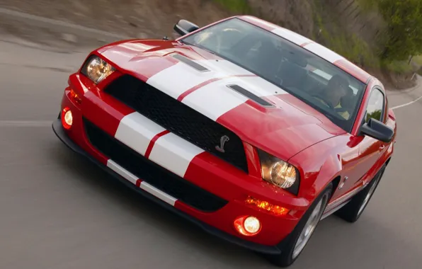 Shelby, GT500, Cobra