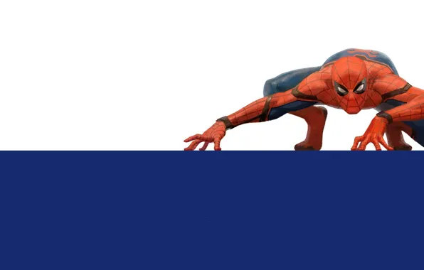 Wallpaper, paint, vector, Spider-Man