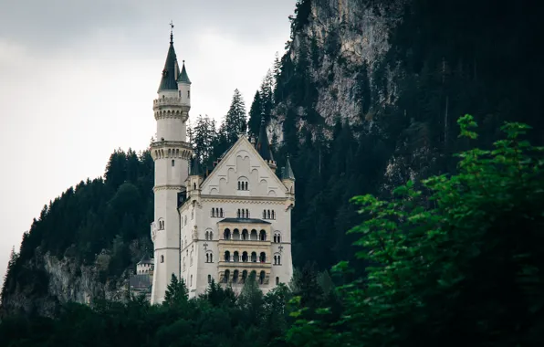 Trees, mountains, castle, tower, window