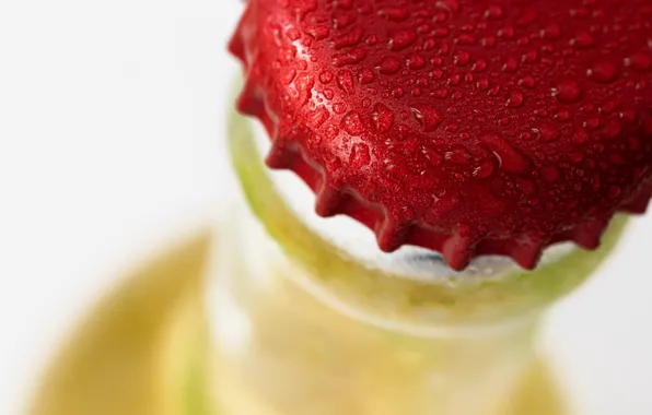 Macro, bottle, tube