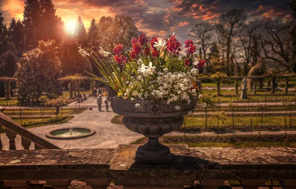 Picture Park, treatment, bouquet, pots, fading