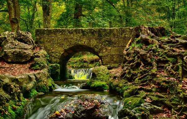 Picture autumn, leaves, trees, bridge, Park, stream, stones, moss