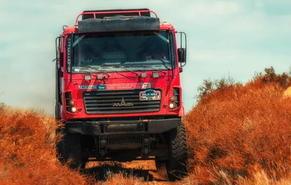 Red, Truck, Race, Rally, Rally, The front, The roads, 316