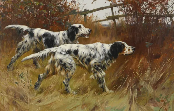 Picture autumn, dog, hunting, setter, Thomas Blinks
