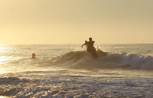 Sea, wave, sunset, squirt, bathing, surfing, Board