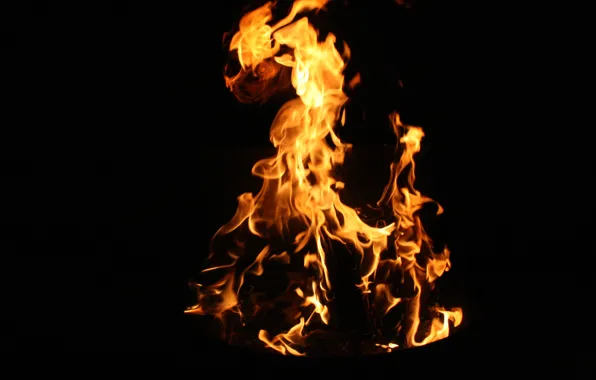 Macro, night, nature, background, fire, flame, Wallpaper, the fire